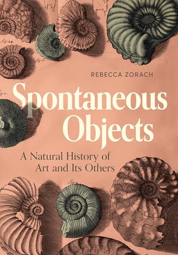 Spontaneous Objects: A Natural History of Art and Its Others (Hardcover)