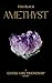 Amethyst: A Goose Girl Friendship Story (Ebony, Blood, and Snow)