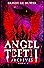 Angel Teeth Archives, Book Two