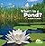 What's in a Pond? (What's In There?)
