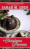 A Christmas Promise