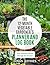 The 12-Month Vegetable Gardener's Planner and Log Book by Susan Jeffries