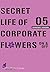 Secret Life of Corporate Fl...
