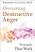 Overcoming Destructive Anger: Strategies That Work