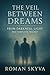 The Veil Between Dreams — From Darkness, Light (The Complete Trilogy)