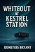 Whiteout at Kestrel Station by Demetris Bryant
