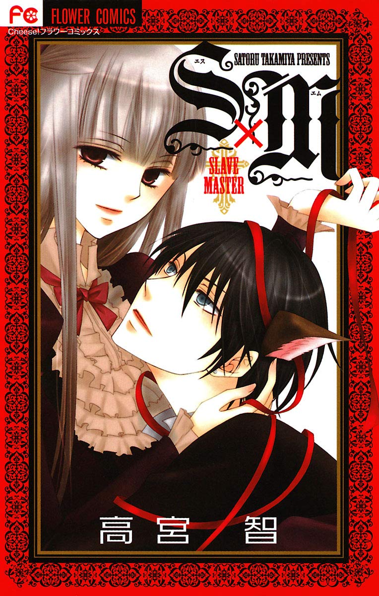 S×M (Slave × Master)