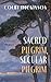 Sacred Pilgrim, Secular Pil...