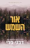 אור השמש