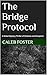 The Bridge Protocol: A Global Mystery Thriller of Shadows and Deception