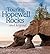 Touring Hopewell Rocks ― and beyond