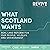 What Scotland Wants by Andy Wightman
