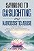 Saying No to Gaslighting and Narcissistic Abuse: A Beginner’s Guide on How to Identify Manipulative Behavior, Set Boundaries, and Take Control of Your Life