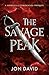 The Savage Peak: The Morgal...