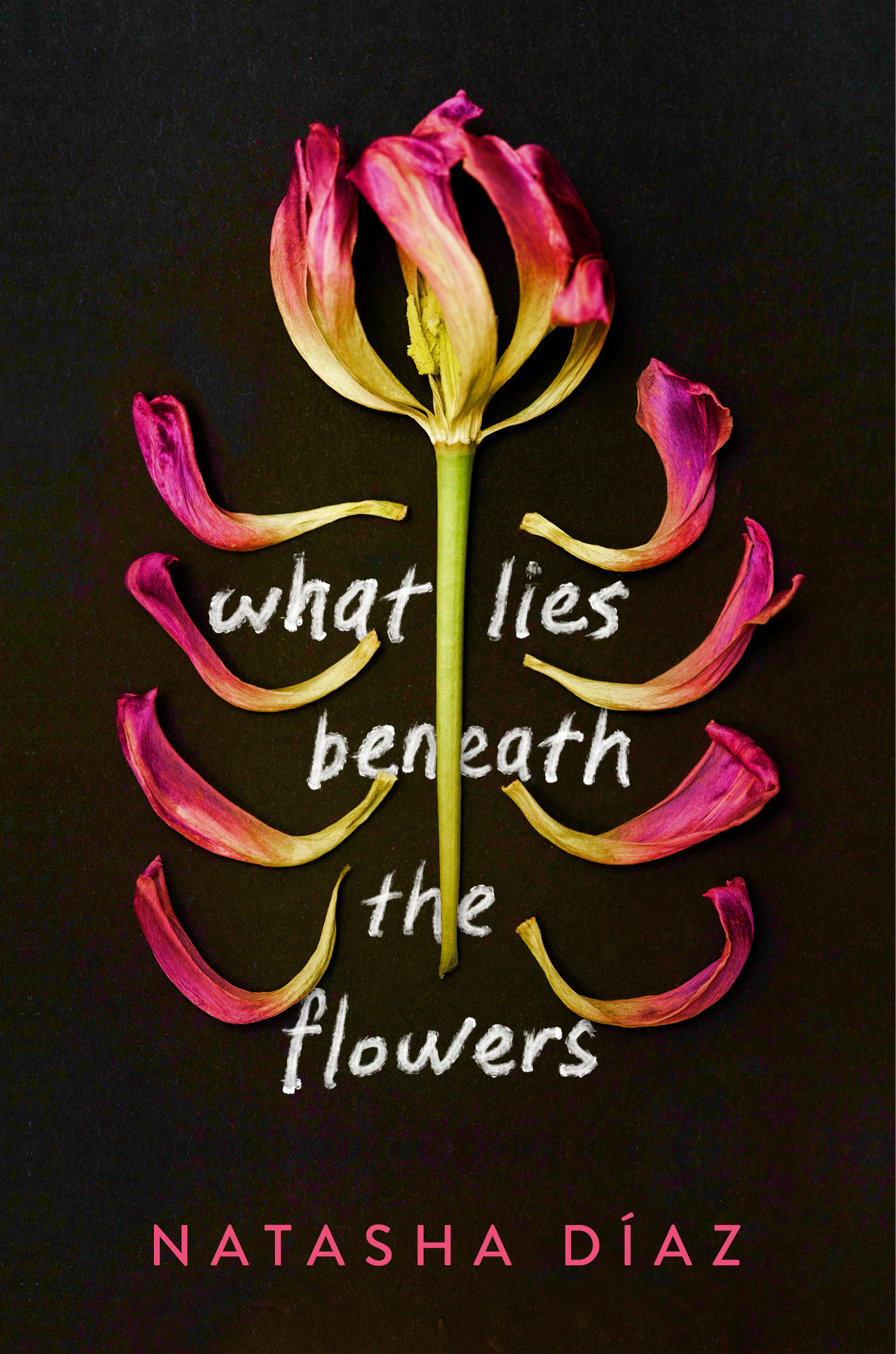 What Lies Beneath the Flowers (Hardcover)
