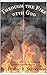 Through The Fire With God :...