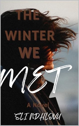 The Winter We Met (Seasons of Love Quartet #2)