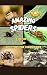Amazing Spiders - Fun Facts...