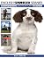 ENGLISH SPRINGER SPANIEL: C...