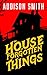 The House of Forgotten Things