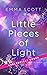 Little Pieces of Light (Castle Hill Academy 1) (German Edition)