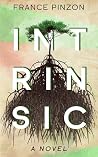 Intrinsic: A Novel