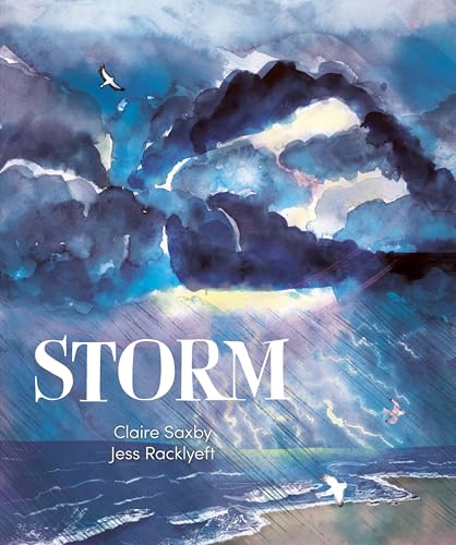 Storm (Kindle Edition)
