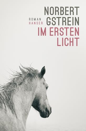 Im ersten Licht: Roman (German Edition)