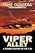 Viper Alley: A Combat History of the F-16