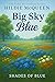 Big Sky Blue (Shades of Blue #0.5)