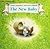 The New Baby by Cyndy Szekeres