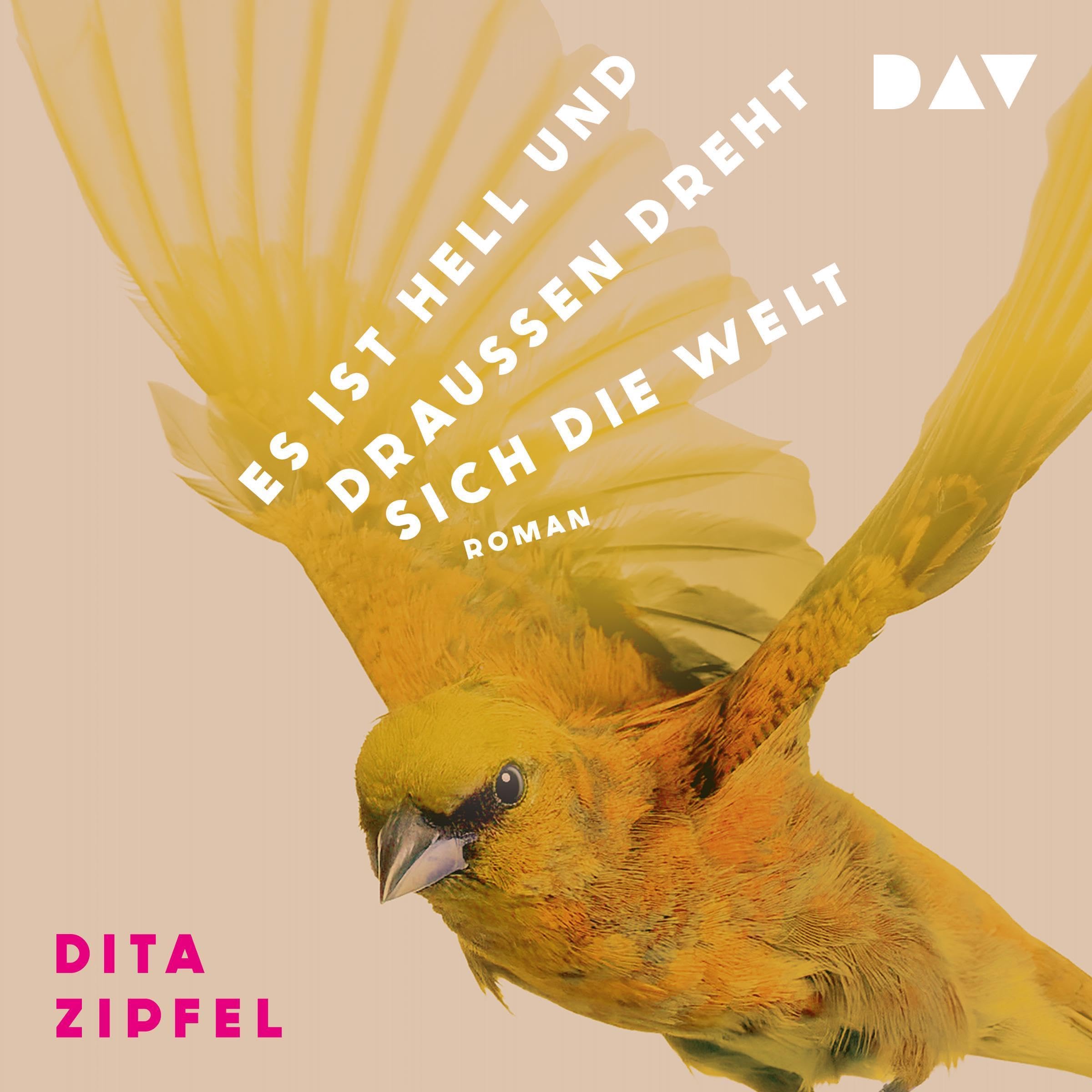 Es ist hell und draußen dreht sich die Welt (Audible Audio)