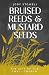 Bruised Reeds and Mustard Seeds: The Gift of the Small Church