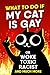 WHAT TO DO IF MY CAT IS GAY...