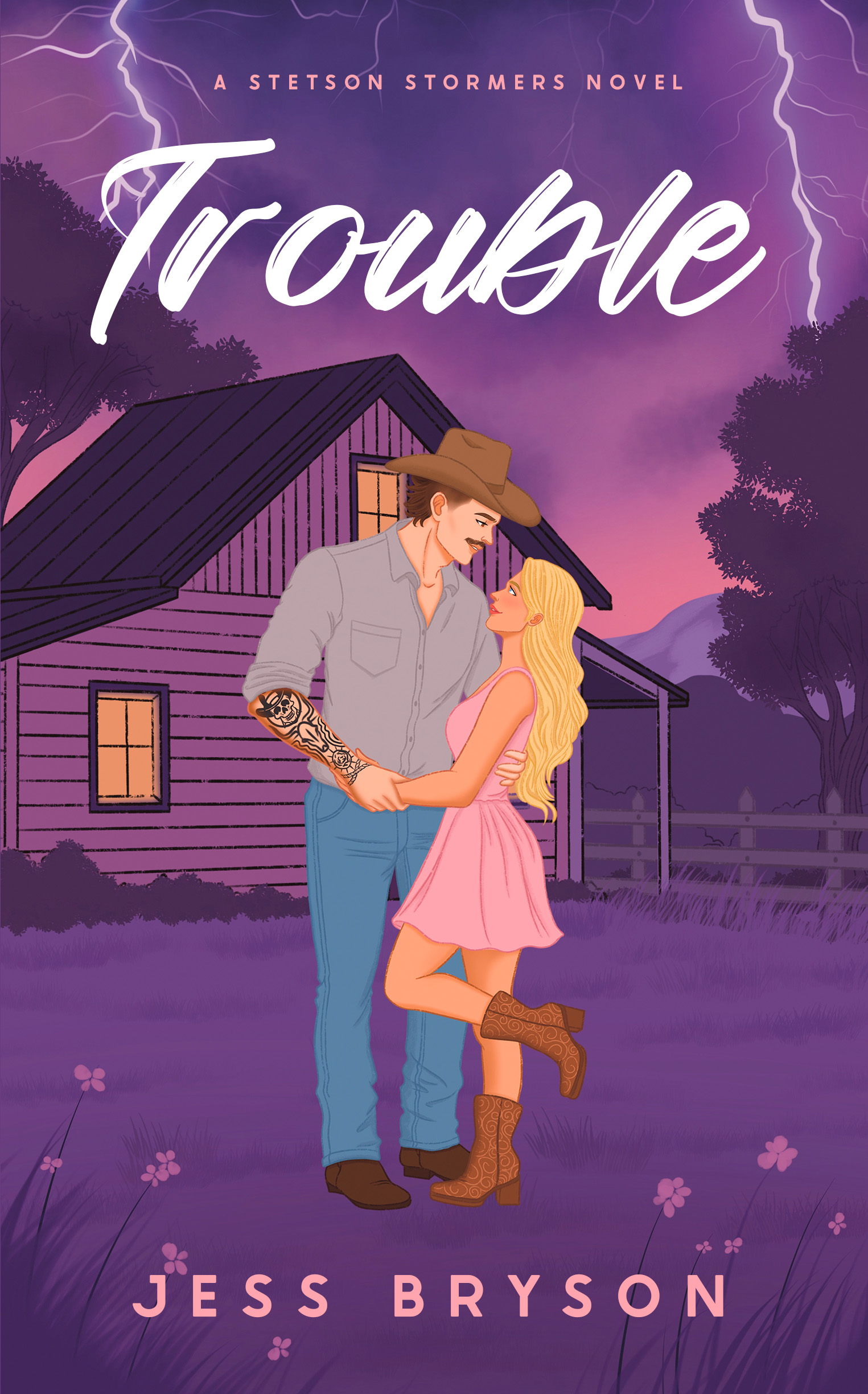 Trouble: A Stetson Stormers Novel (Unknown Binding)