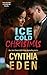 Ice Cold Christmas (Ice Breaker Cold Case Romance)