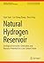 Natural Hydrogen: Geological Formation, Accumulation, and Resource Potential for a Low Carbon Future (Synthesis Lectures on Renewable Energy Technologies)