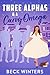Three Alphas & A Curvy Omega: A Cozy Omegaverse Romance