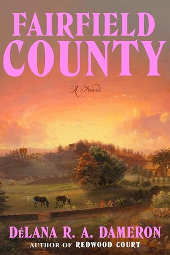 Fairfield County (Hardcover)