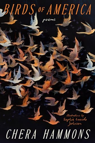 Birds of America: Poems (Paperback)