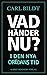 Vad händer nu?  by Carl Bildt