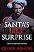 Santa's Big Surprise: A Spicy Christmas Romance