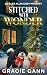 Stitched with Wonder (Alex ...