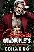 Christmas Quadruplets: An Age Gap Mafia Romance