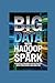BIG DATA WITH HADOOP AND SP...