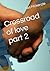Crossroad of love part 2 by Net McKenzie
