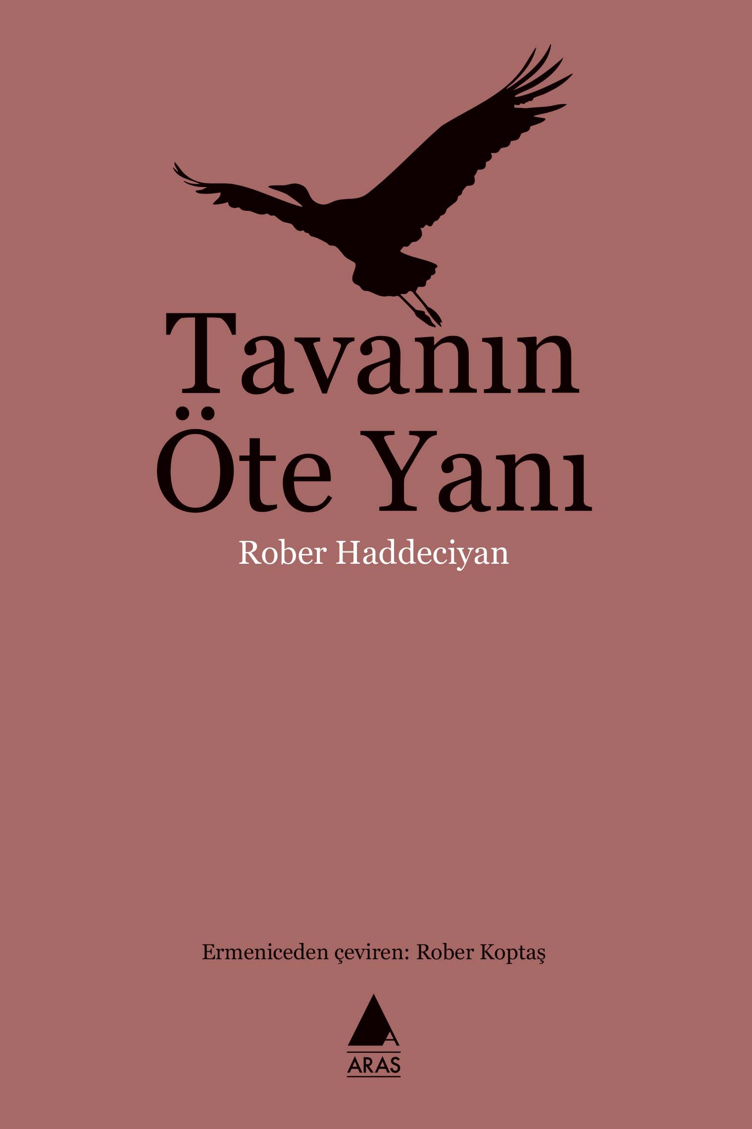 Tavanın Öte Yanı