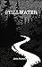Stillwater by John Parenteau