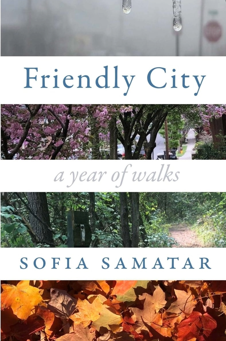 Friendly City: A Year of Walks (Paperback)