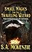 Small Magics for the Traveling Wizard by S.A. McKenzie